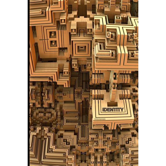 Identity (Paperback)