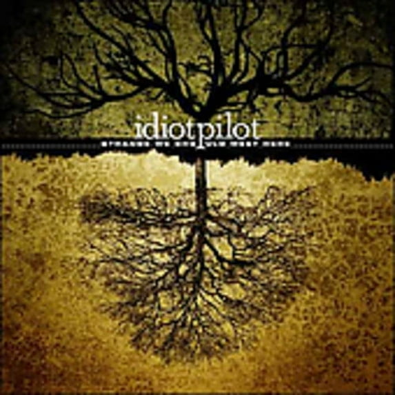 Idiot Pilot - Strange We Should Meet Here - Music & Performance - CD