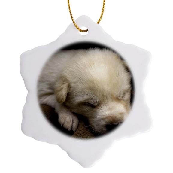 3drose, Iditarod Puppy, Dog Sleeping - Us02 Mwi0056 - Mark Williford, 3 inch Snowflake Porcelain Ornament