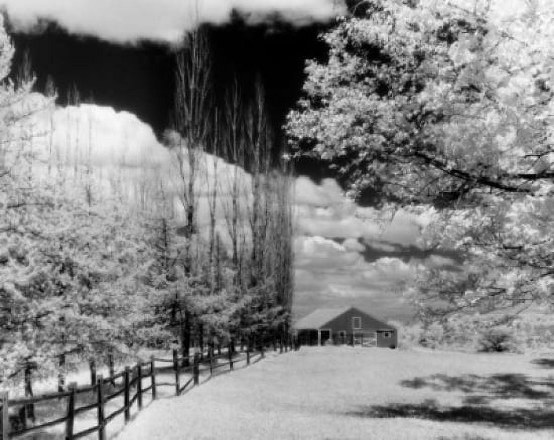 Idyllic landscape with farm and trees covered in blossom Canvas Art -  (18 x 24)