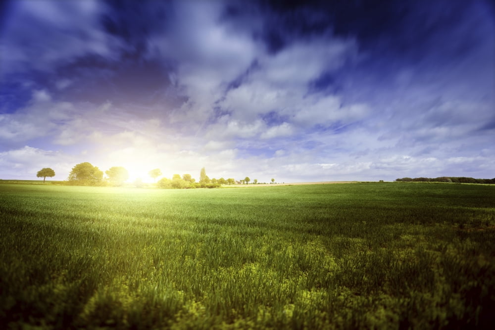 Idyllic meadow with sun over horizon against cloudy sky Denmark Canvas Art - Evgeny KuklevStocktrek Images (35 x 23)