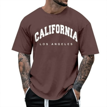 Ierhent T Shirts for Men Pack Men's Heavyweight Crew Neck Short Sleeve Tee Brown,3XL