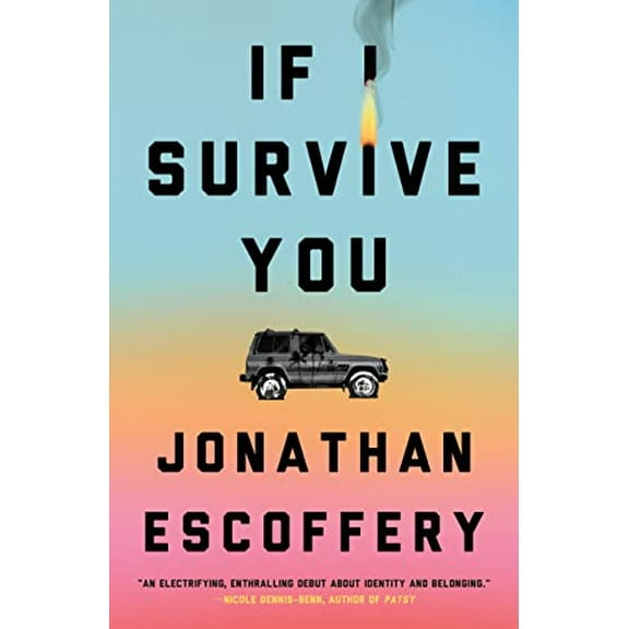 Pre-Owned If I Survive You (Hardcover) 037460598X 9780374605988