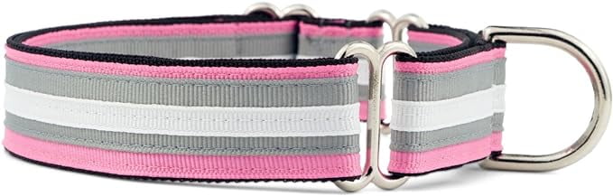 If it barks martingale cheap collar