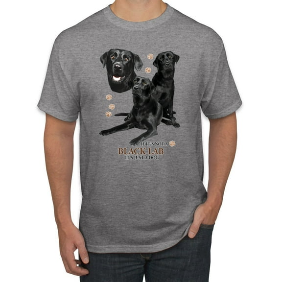 If It's Not a Black Lab It's Just a Dog Gift | Mens Dog Lover Graphic T-Shirt, Heather Grey, 2XL