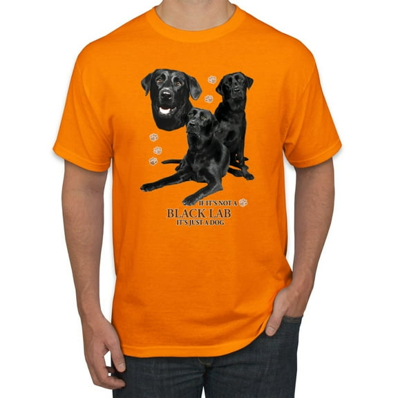 If It's Not a Black Lab It's Just a Dog Gift | Mens Dog Lover Graphic T-Shirt, Orange, Large