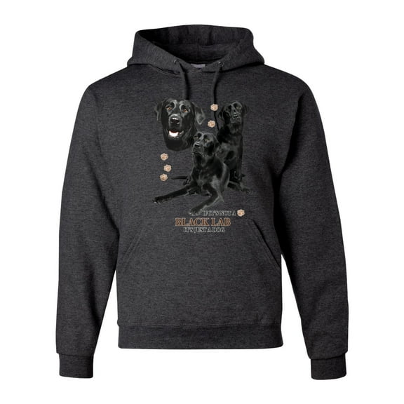 If It's Not a Black Lab It's Just a Dog Gift | Mens Dog Lover Hooded Sweatshirt Graphic Hoodie, Heather Black, Small
