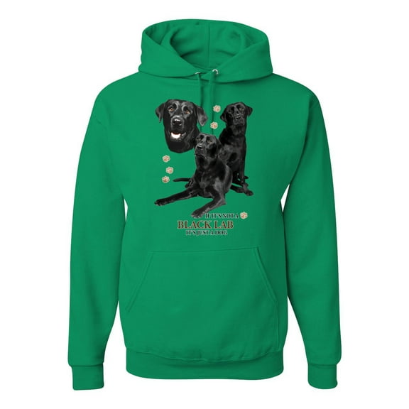 If It's Not a Black Lab It's Just a Dog Gift | Mens Dog Lover Hooded Sweatshirt Graphic Hoodie, Kelly, X-Large