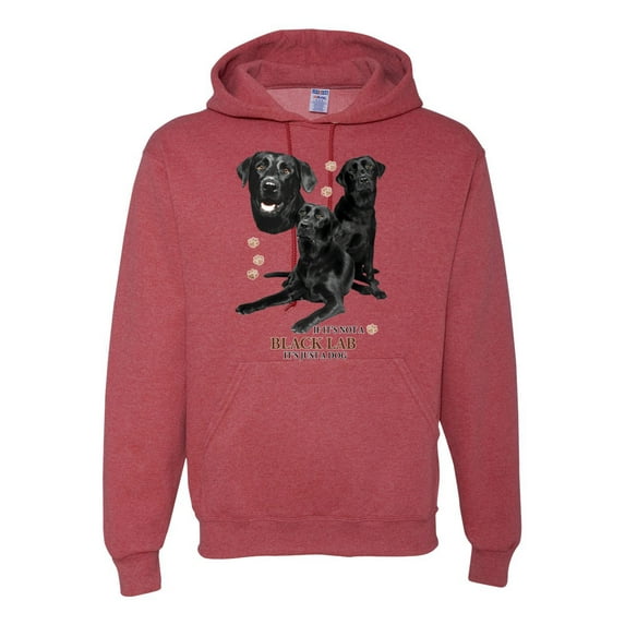 If It's Not a Black Lab It's Just a Dog Gift | Mens Dog Lover Hooded Sweatshirt Graphic Hoodie, Vintage Heather Red, Small