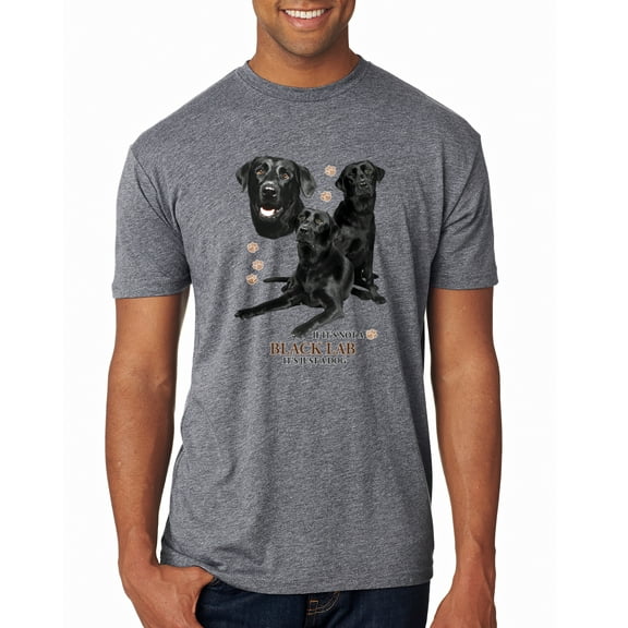 If It's Not a Black Lab It's Just a Dog Gift | Mens Dog Lover Premium Tri Blend T-Shirt, Premium Heather, Large