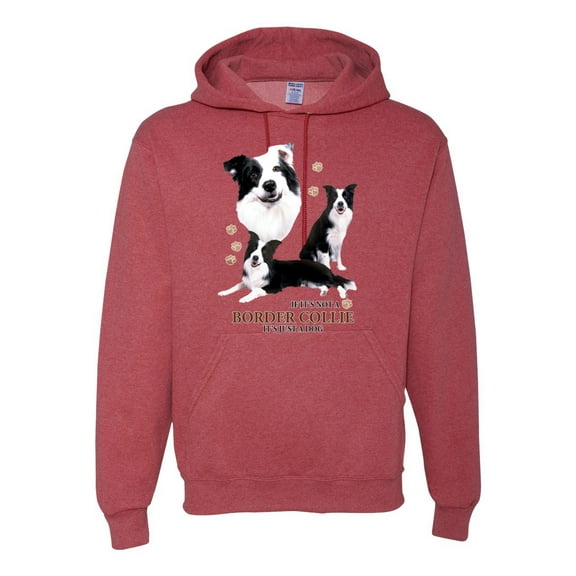 If It's Not a Border Collie It's Just a Dog Gift | Mens Dog Lover Hooded Sweatshirt Graphic Hoodie, Vintage Heather Red, Large