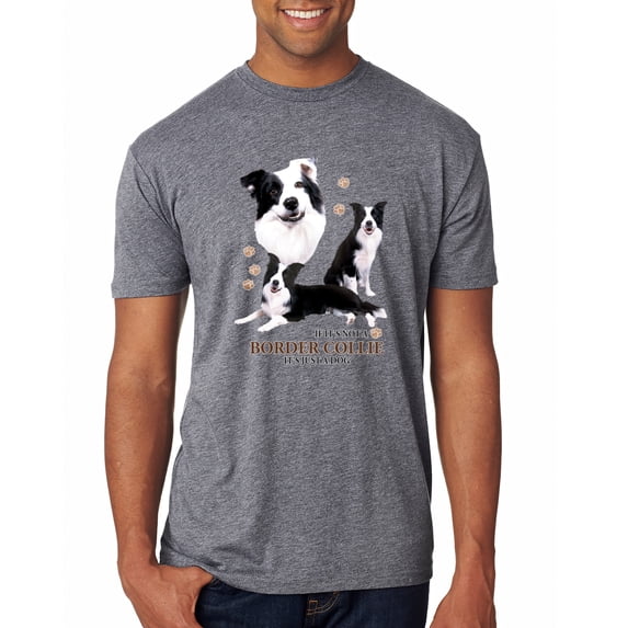 If It's Not a Border Collie It's Just a Dog Gift | Mens Dog Lover Premium Tri Blend T-Shirt, Premium Heather, Medium