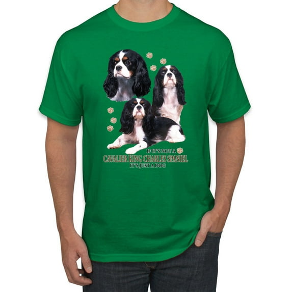 If It's Not a Cavalier King Charles Spaniel It's Just a Dog Gift | Mens Dog Lover Graphic T-Shirt, Kelly, 3XL