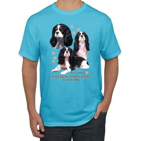 If It's Not a Cavalier King Charles Spaniel It's Just a Dog Gift | Mens Dog Lover Graphic T-Shirt, Light Turquoise, 3XL