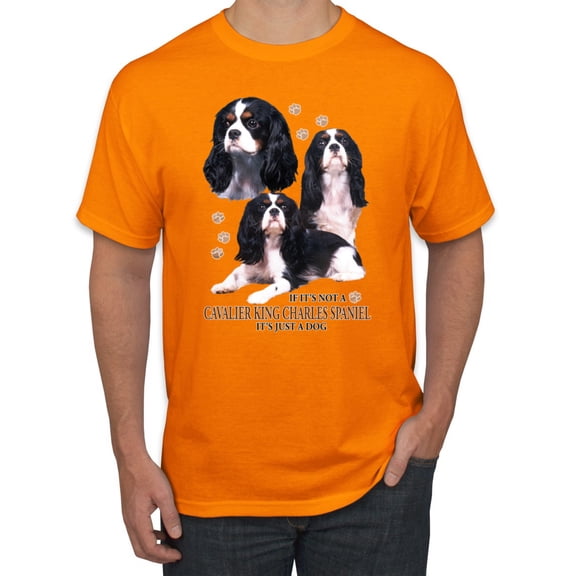 If It's Not a Cavalier King Charles Spaniel It's Just a Dog Gift | Mens Dog Lover Graphic T-Shirt, Orange, 2XL
