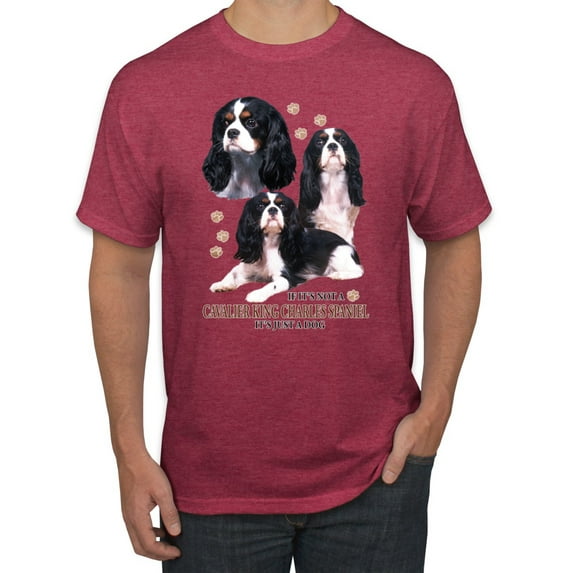If It's Not a Cavalier King Charles Spaniel It's Just a Dog Gift | Mens Dog Lover Graphic T-Shirt, Vintage Heather Red, 2XL