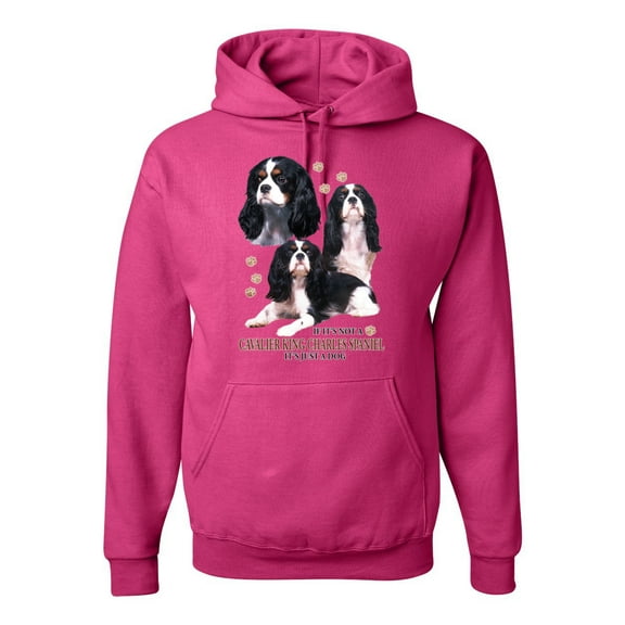If It's Not a Cavalier King Charles Spaniel It's Just a Dog Gift | Mens Dog Lover Hooded Sweatshirt Graphic Hoodie, Fuschia, X-Large
