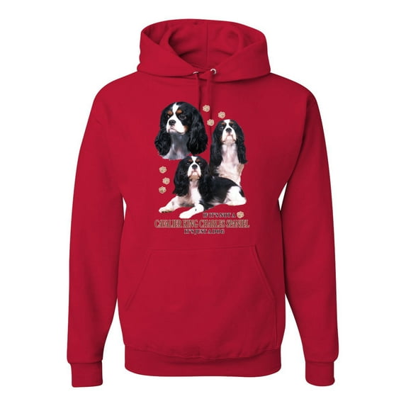 If It's Not a Cavalier King Charles Spaniel It's Just a Dog Gift | Mens Dog Lover Hooded Sweatshirt Graphic Hoodie, Red, Small