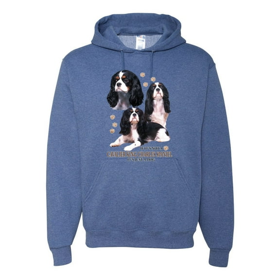If It's Not a Cavalier King Charles Spaniel It's Just a Dog Gift | Mens Dog Lover Hooded Sweatshirt Graphic Hoodie, Vintage Heather Blue, 2XL