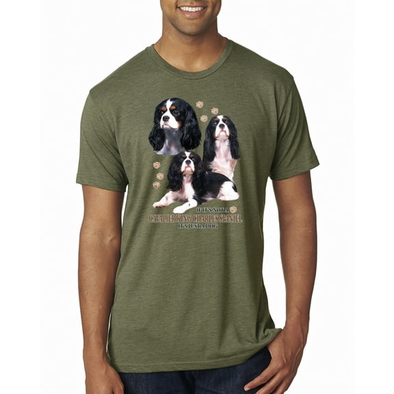 If It's Not a Cavalier King Charles Spaniel It's Just a Dog Gift | Mens Dog Lover Premium Tri Blend T-Shirt, Military Green, Large