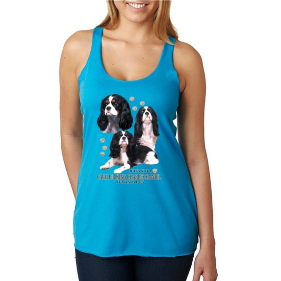 If It's Not a Cavalier King Charles Spaniel It's Just a Dog Gift | Womens Dog Lover Premium Tri-Blend Racerback Tank Top, Vintage Turquoise, Small