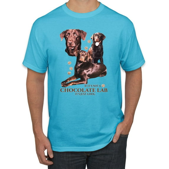 If It's Not a Chocolate Lab It's Just a Dog Gift | Mens Dog Lover Graphic T-Shirt, Light Turquoise, 2XL