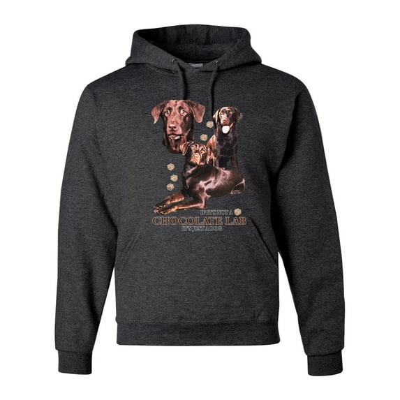 If It's Not a Chocolate Lab It's Just a Dog Gift | Mens Dog Lover Hooded Sweatshirt Graphic Hoodie, Heather Black, X-Large