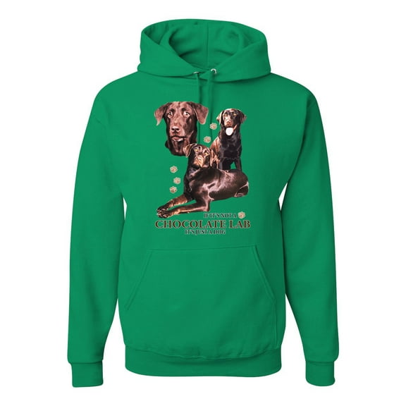 If It's Not a Chocolate Lab It's Just a Dog Gift | Mens Dog Lover Hooded Sweatshirt Graphic Hoodie, Kelly, 3XL