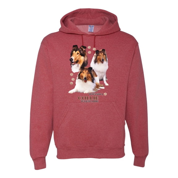 If It's Not a Collie It's Just a Dog Gift | Mens Dog Lover Hooded Sweatshirt Graphic Hoodie, Vintage Heather Red, 3XL