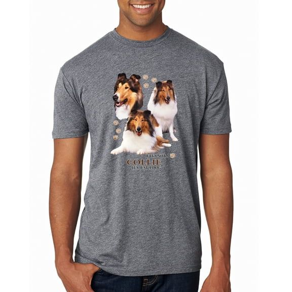 If It's Not a Collie It's Just a Dog Gift | Mens Dog Lover Premium Tri Blend T-Shirt, Premium Heather, 2XL