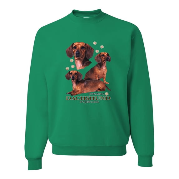 If It's Not a Dachshund It's Just a Dog Gift | Mens Dog Lover Crewneck Graphic Sweatshirt, Kelly, 3XL