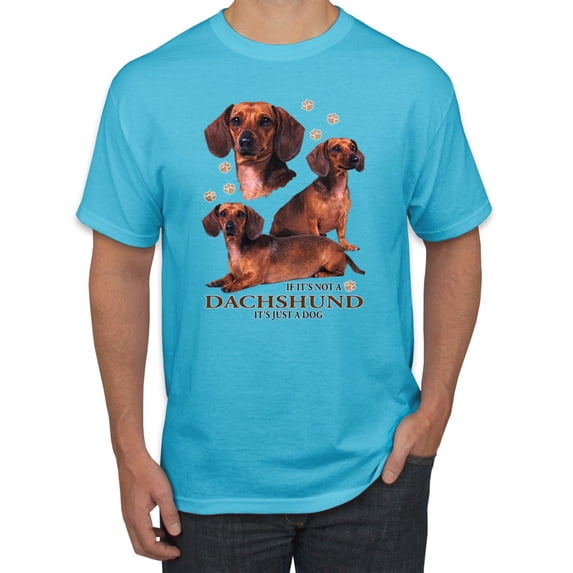 If It's Not a Dachshund It's Just a Dog Gift | Mens Dog Lover Graphic T-Shirt, Light Turquoise, X-Large