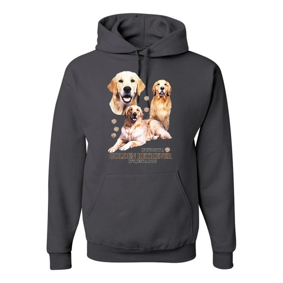 If It's Not a Golden Retriever It's Just a Dog Gift | Mens Dog Lover Hooded Sweatshirt Graphic Hoodie, Charcoal, Small