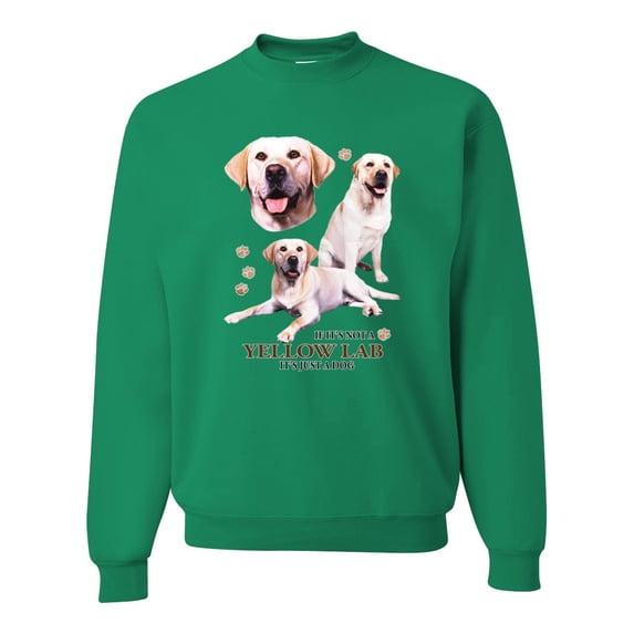 If It's Not a Yellow Lab It's Just a Dog Gift | Mens Dog Lover Crewneck Graphic Sweatshirt, Kelly, 3XL
