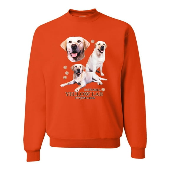 If It's Not a Yellow Lab It's Just a Dog Gift | Mens Dog Lover Crewneck Graphic Sweatshirt, Orange, X-Large