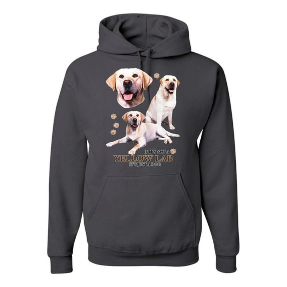 If It's Not a Yellow Lab It's Just a Dog Gift | Mens Dog Lover Hooded Sweatshirt Graphic Hoodie, Charcoal, Small