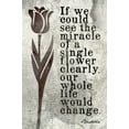 thumbnail image 1 of If We Could See The Miracle Of A Single Flower (Buddha Quote), mindfulness meditation poster print, 1 of 1