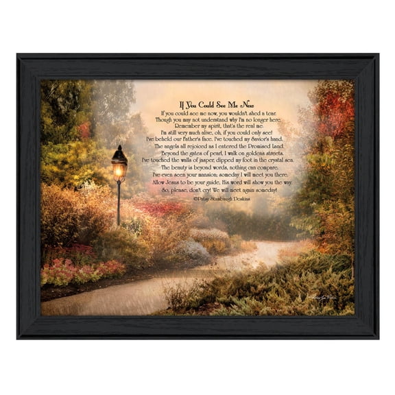 TrendyDecor4U If You Could See Me Now By Robin-Lee Vieira Wall Art RLVXD410-405