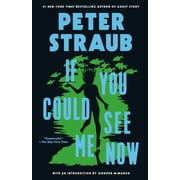 If You Could See Me Now, Paperback