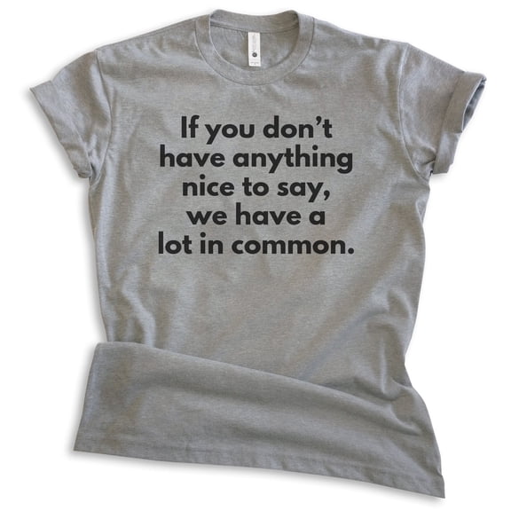 If You Don't Have Anything Nice To Say We Have A Lot In Common Shirt, Unisex Women's Men's Shirt, Sassy Tee, Dark Heather Gray, Medium
