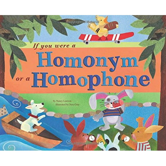 Pre-Owned If You Were a Homonym or a Homophone (Paperback) 1404835717 9781404835719