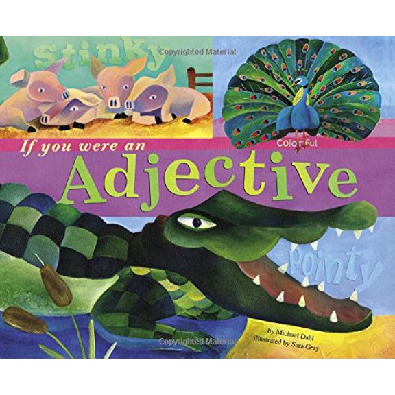 Pre-Owned Word Fun If You Were an Adjective, (Paperback)
