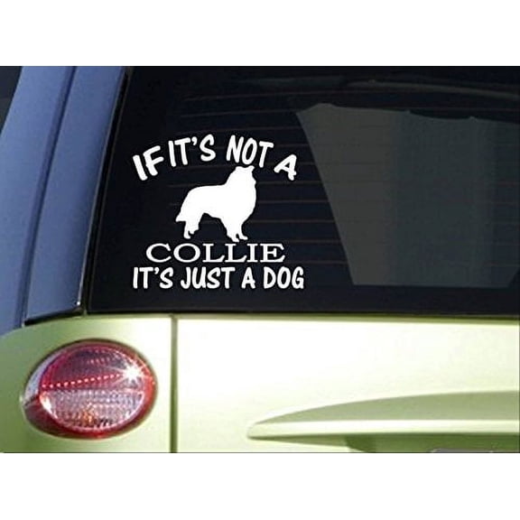 If it's Not a Collie *I716* 6x6 inch Sticker decal dog
