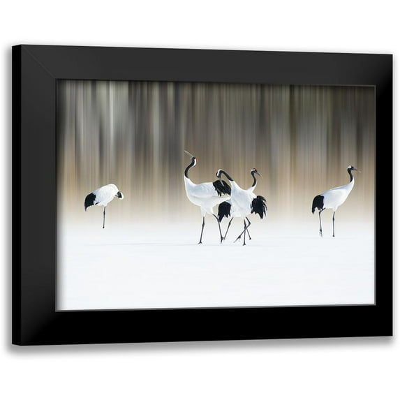 Iga, Ikuo 24x18 Black Modern Framed Museum Art Print Titled - Red-Crested White Cranes