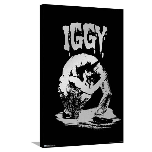 Iggy Pop - Pose Canvas Wall Poster, 22.375" x 34"