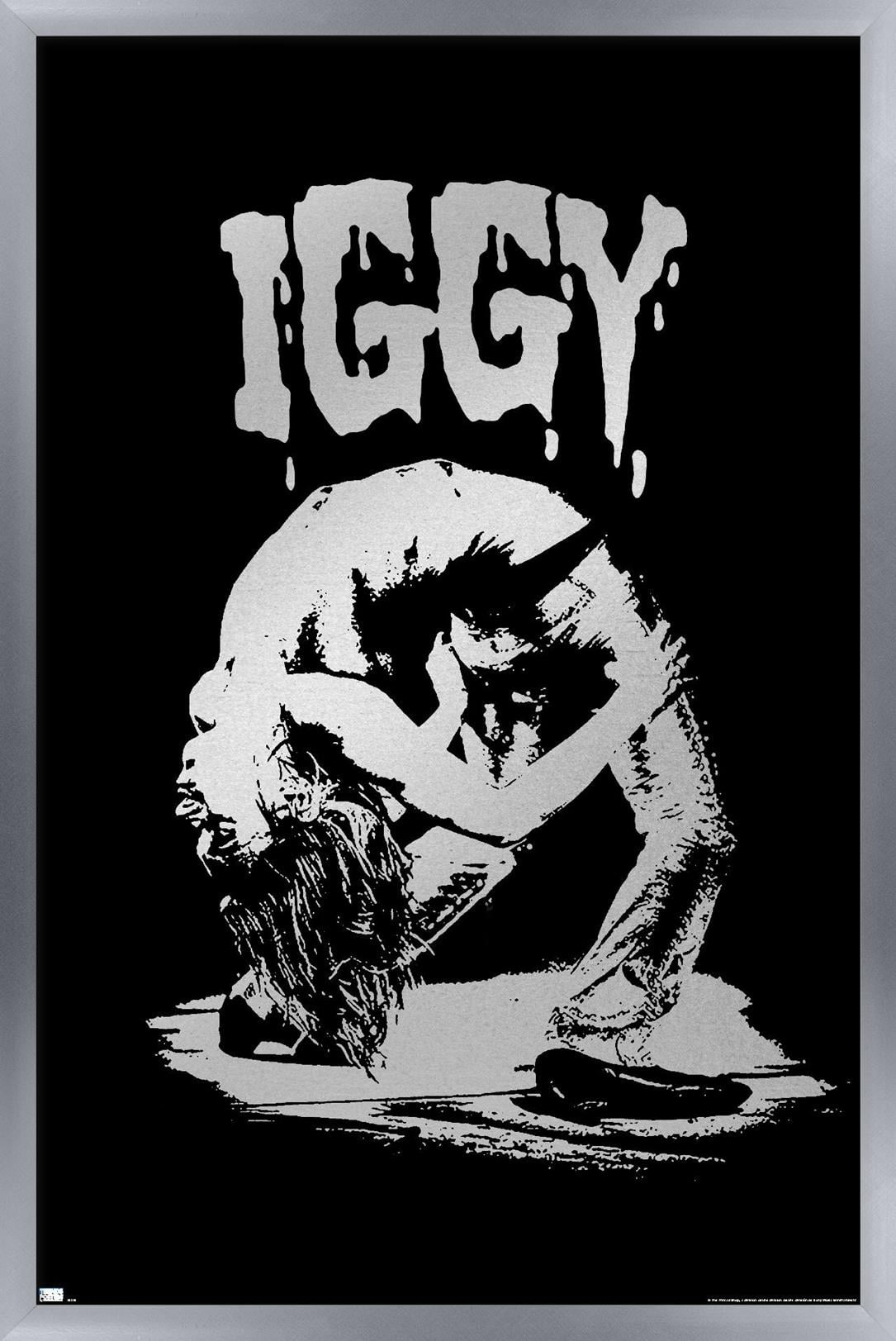 Iggy Pop - Pose Wall Poster, 14.725" x 22.375", Framed