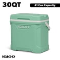 thumbnail image 1 of Igloo 30-Quart Cooler, Mint Portable Ice Chest with Cool Riser Technology, 41 Can Capacity, 1 of 12