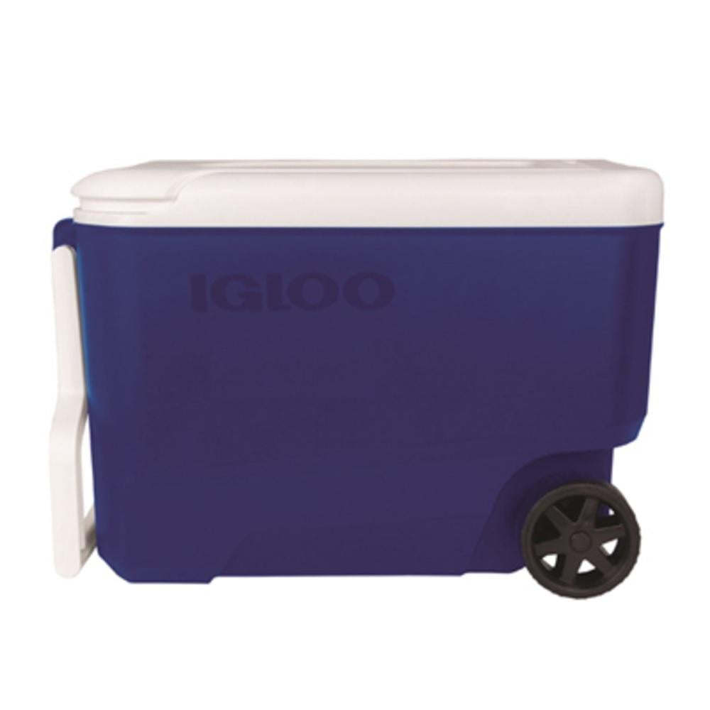 Igloo cooler cheap 38 quart
