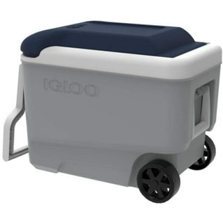 27 oz. Igloo® Vacuum Insulated Tumbler-Blank