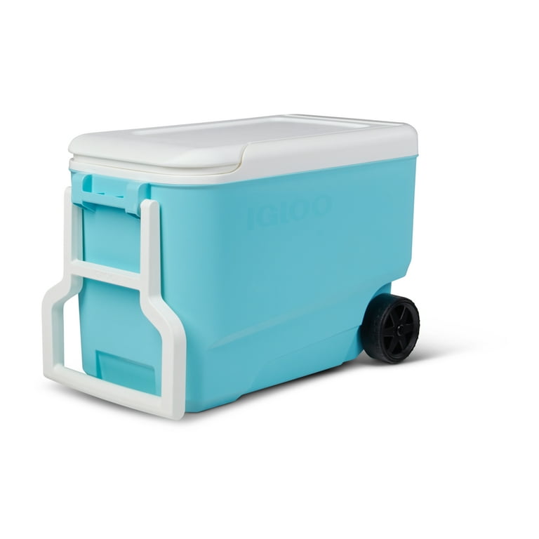 Aqua store igloo cooler